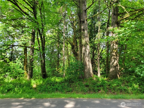 Photo of 12404 Champion Drive SW, Olympia, WA 98512 (MLS # 2522822)