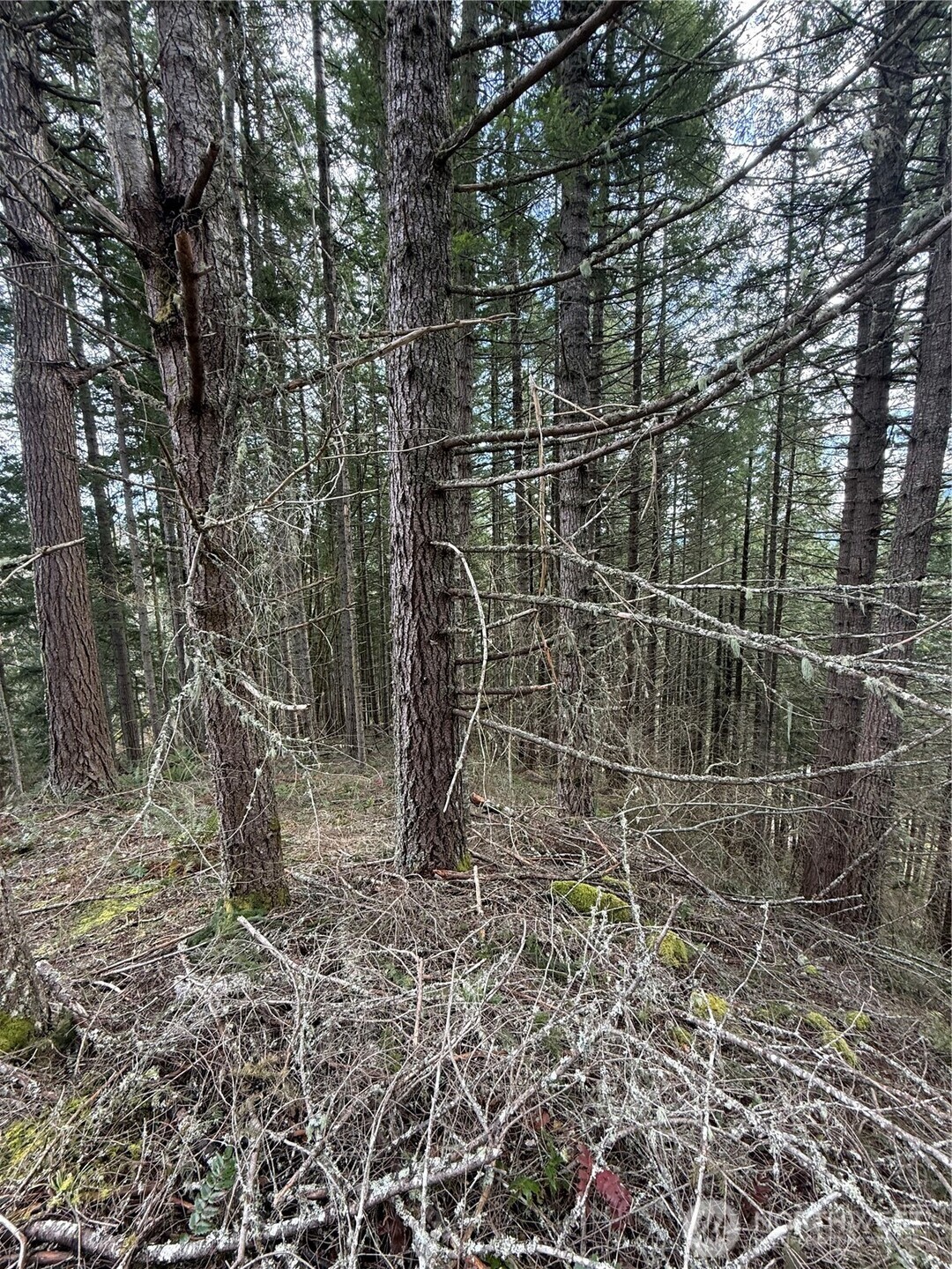 53007 128th Avenue E