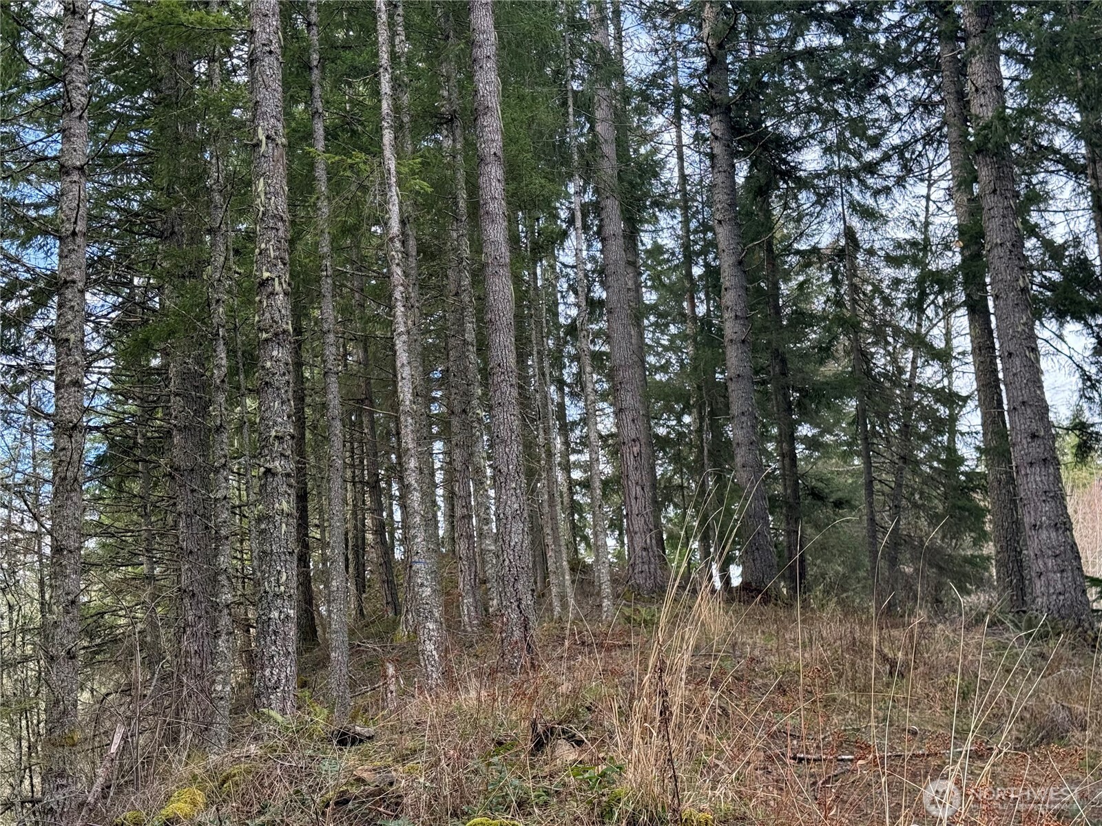 53007 128th Avenue E