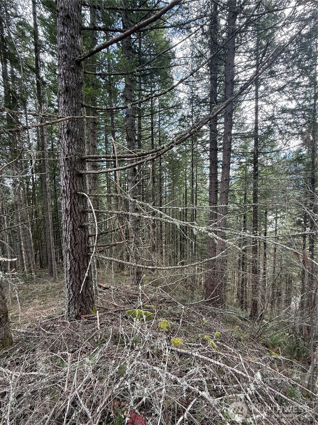 53007 128th Avenue E