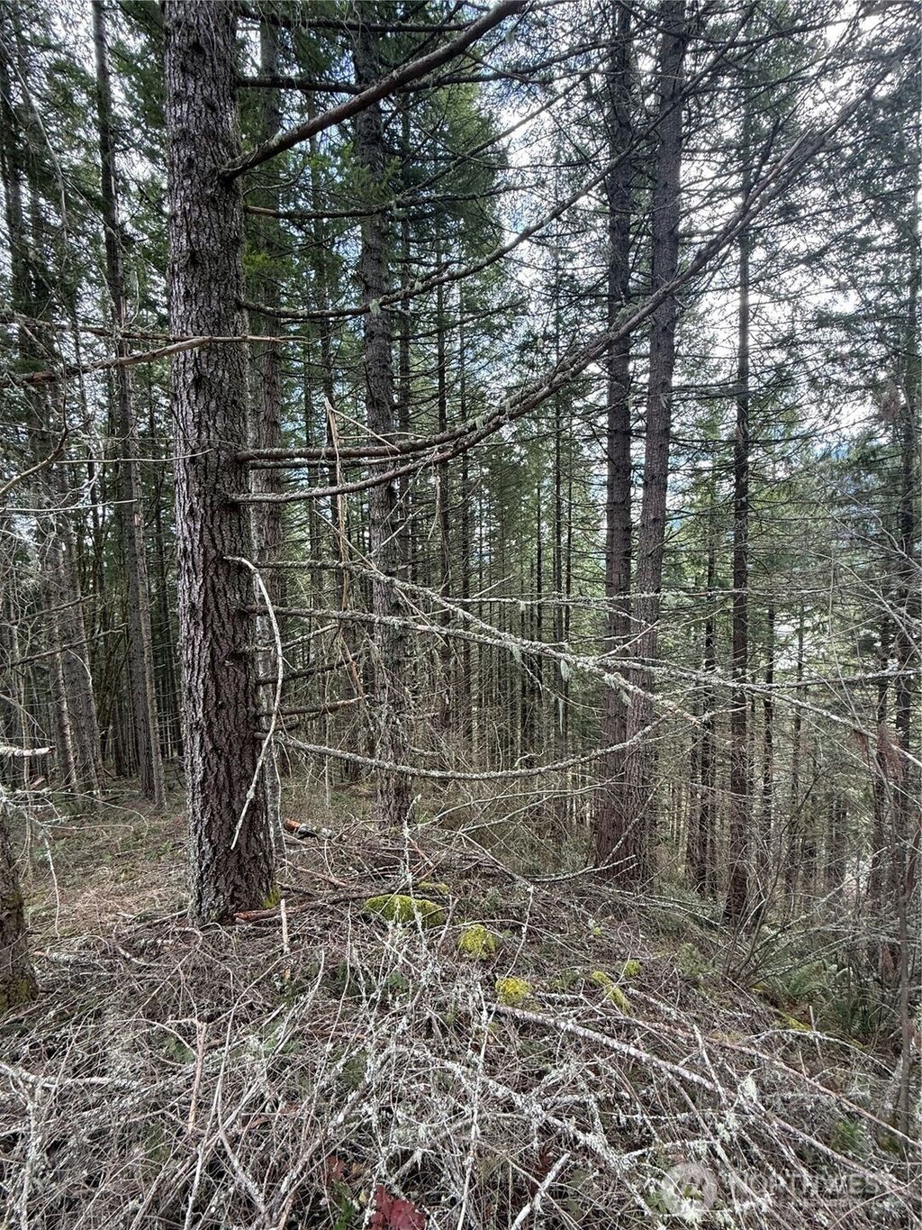 Photo of 53007 128th Avenue E, Eatonville, WA 98328 (MLS # 2491840)