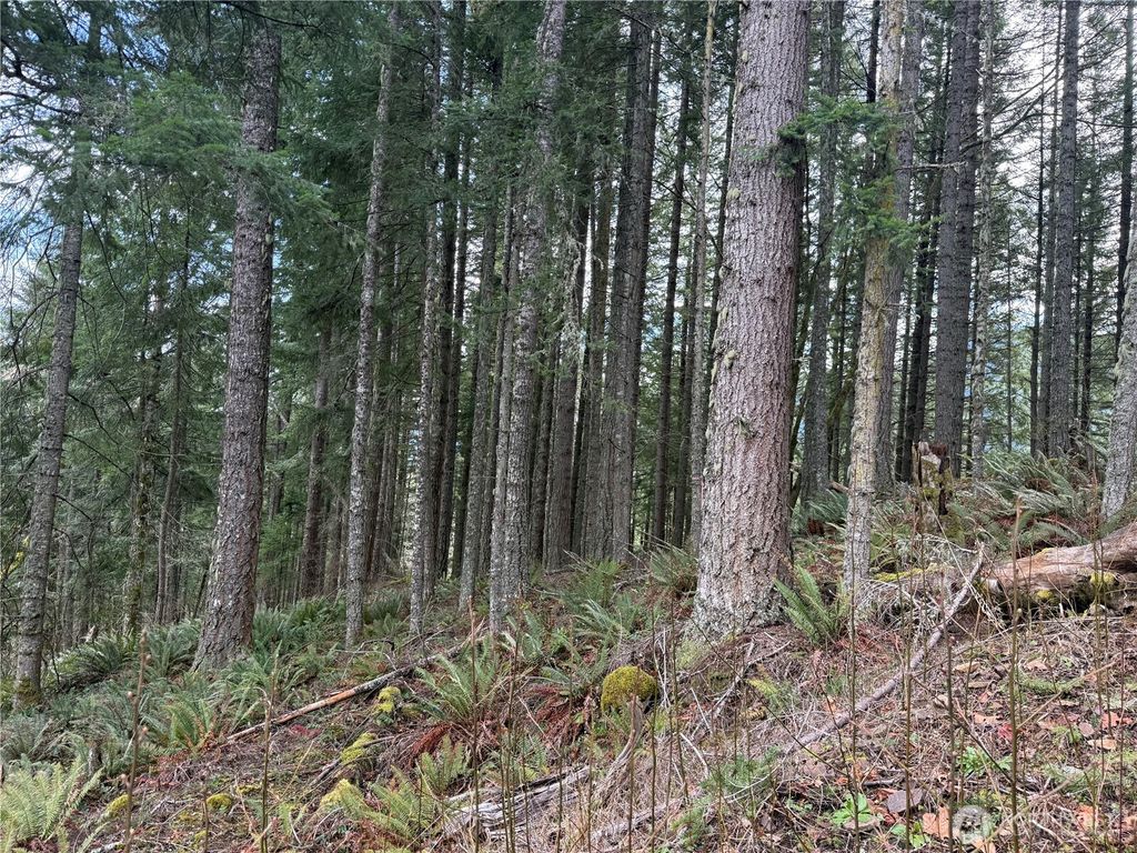 Photo of 53007 128th Avenue E, Eatonville, WA 98328 (MLS # 2491840)