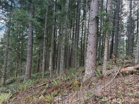 Photo of 53007 128th Avenue E, Eatonville, WA 98328 (MLS # 2491840)