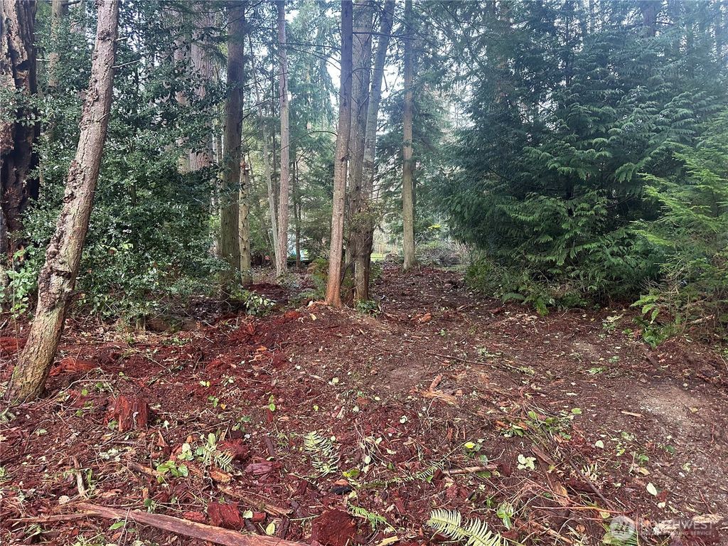 Photo of 0 XXX Worthy Place, Greenbank, WA 98253 (MLS # 2443438)