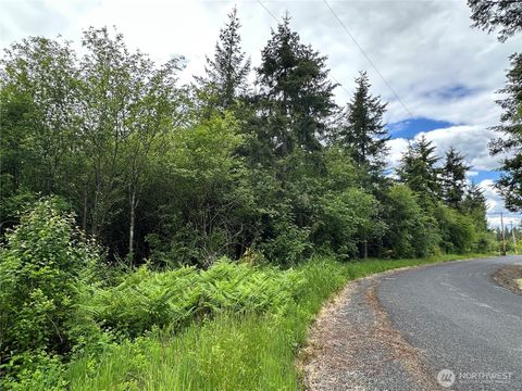 0 Bremgartner Road Winlock WA 98596