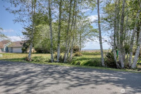 Photo of 308 & 312 Olympic View Avenue NE, Ocean Shores, WA 98569 (MLS # 2518506)