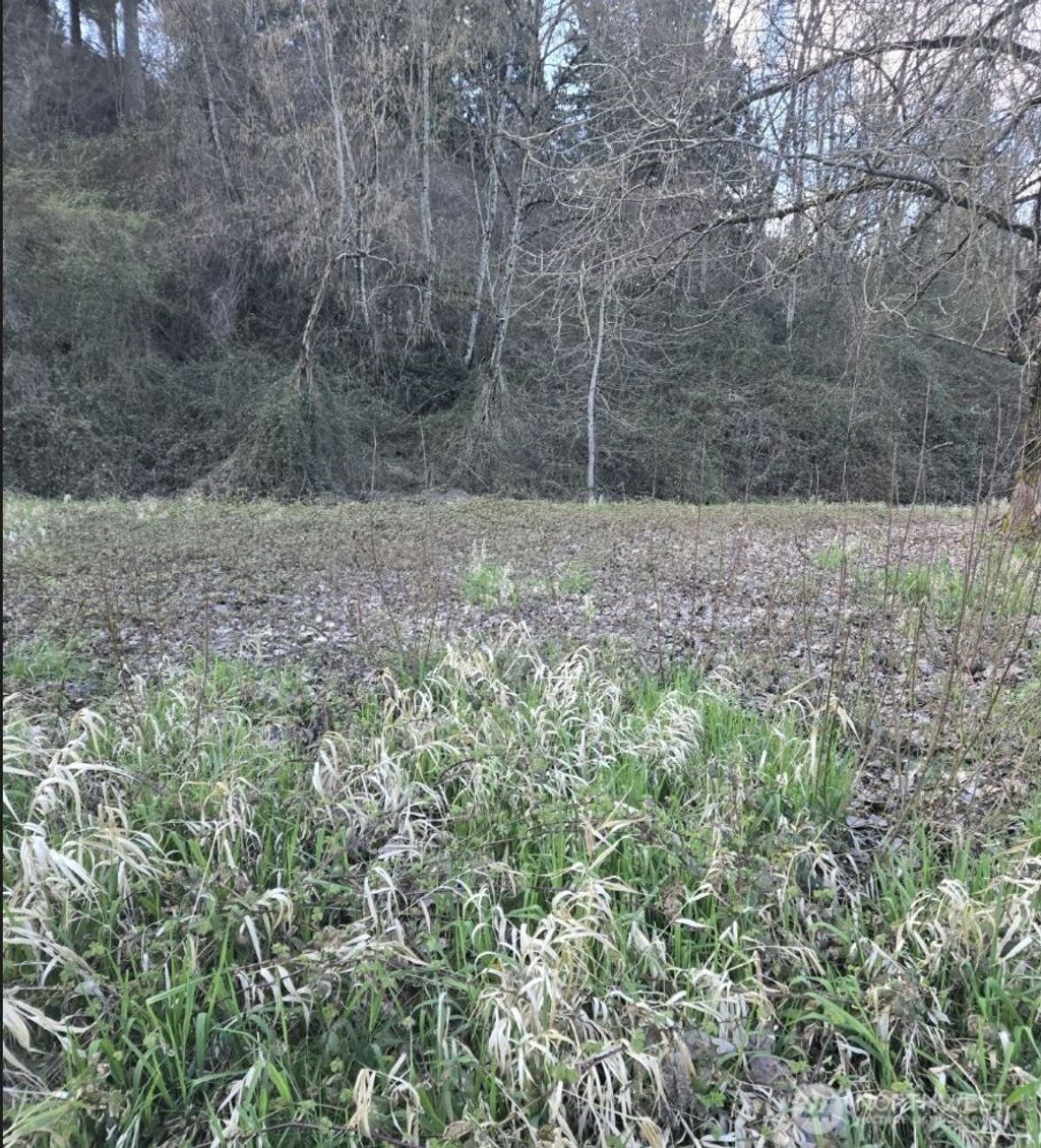 Photo of 2210 W Valley Highway E, Edgewood, WA 98372 (MLS # 2498888)