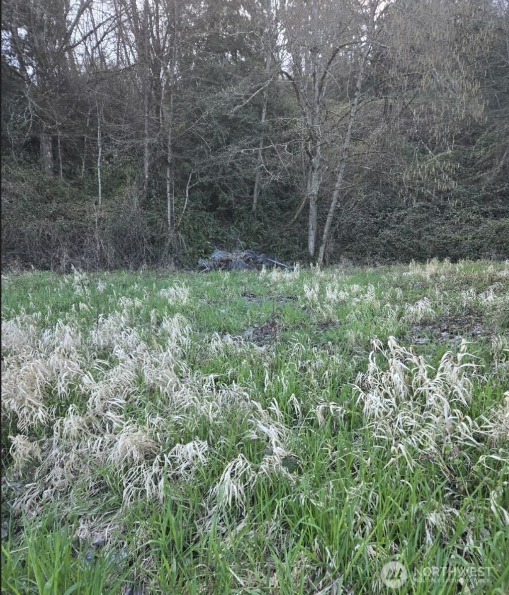 Photo of 2210 W Valley Highway E, Edgewood, WA 98372 (MLS # 2498888)