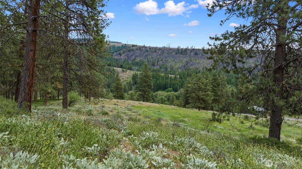 Photo of 0 2B Swauk Pines Road, Cle Elum, WA 98922 (MLS # 2505019)