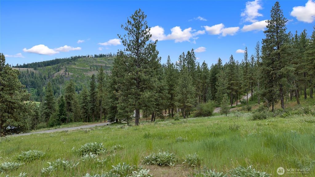 Photo of 0 2B Swauk Pines Road, Cle Elum, WA 98922 (MLS # 2505019)