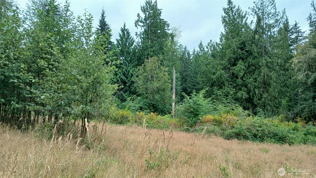 Photo of 12400 212th Street NE, Arlington, WA 98223 (MLS # 2421994)