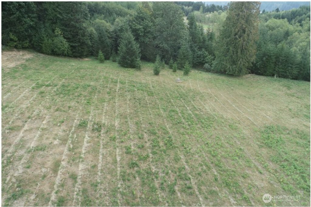 Photo of 119 - 136 Norms Place, Ariel, WA 98603 (MLS # 2484198)