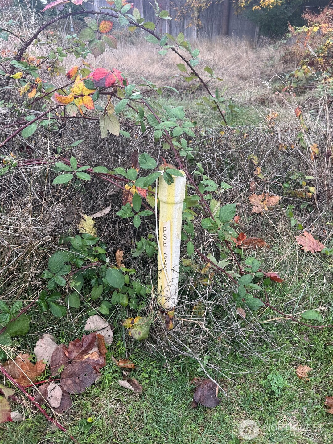 2501 Highland Avenue