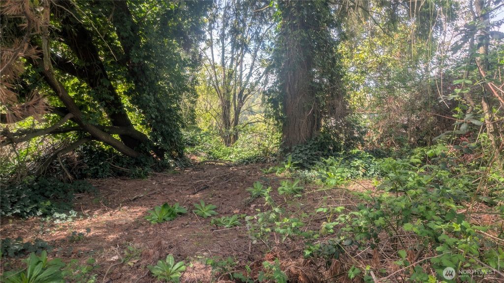 Photo of 5263 21St Avenue SW, Seattle, WA 98106 (MLS # 2509831)