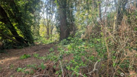 Photo of 5263 21St Avenue SW, Seattle, WA 98106 (MLS # 2509831)