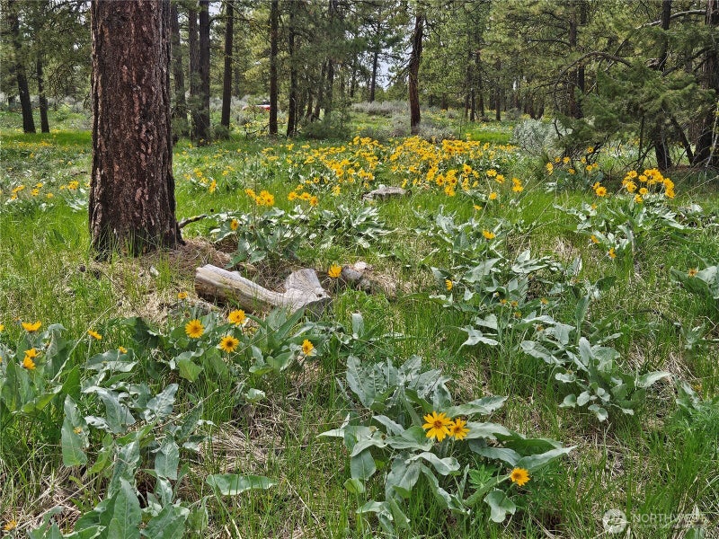 0 Muledeer Road
