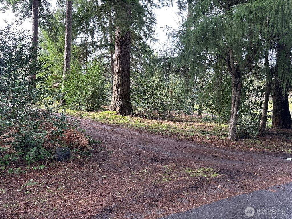 Photo of 15827 Lawrence Place Pl SE, Yelm, WA 98597 (MLS # 2487381)