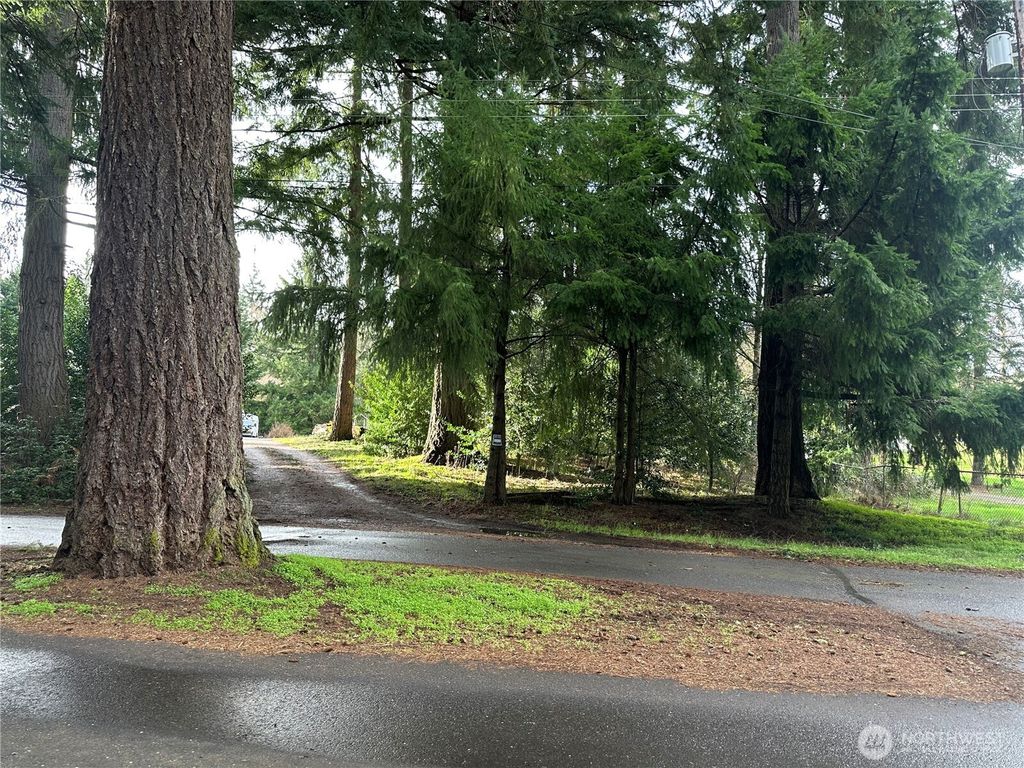 Photo of 15827 Lawrence Place Pl SE, Yelm, WA 98597 (MLS # 2487381)
