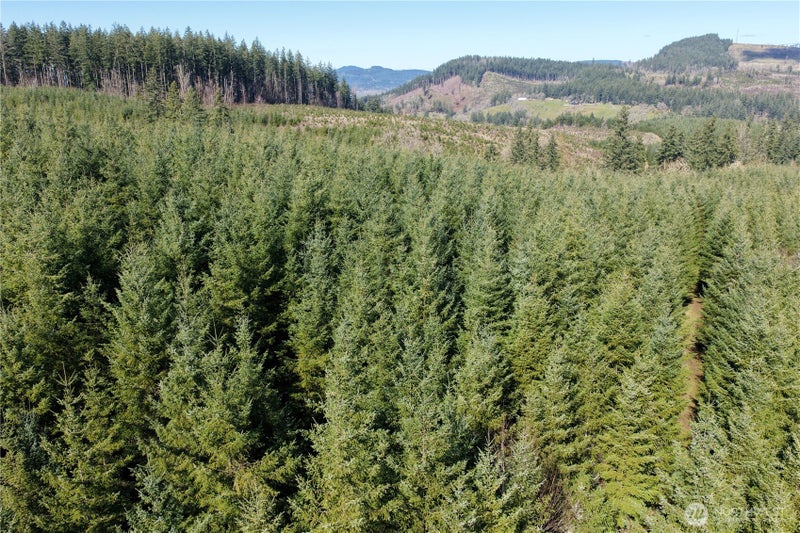0 SE Tokul Road