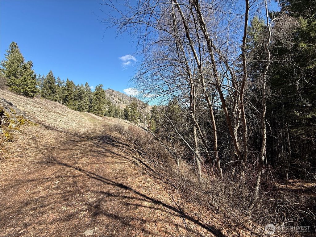 Photo of 0 Coogan Creek Road, Wauconda, WA 98859 (MLS # 2502642)