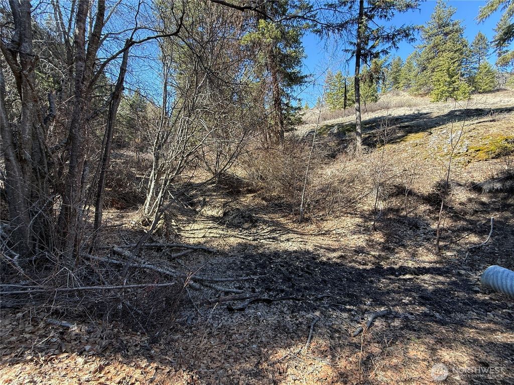 Photo of 0 Coogan Creek Road, Wauconda, WA 98859 (MLS # 2502642)