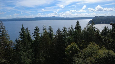 Photo of 0 Juanita Drive, Brinnon, WA 98320 (MLS # 2595611)