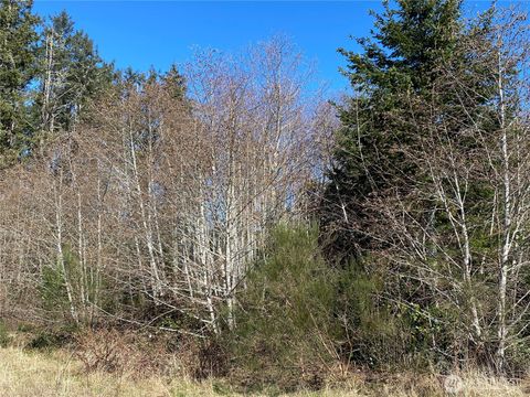 Photo of 23800 Next to Elm Ln, Ocean Park, WA 98640 (MLS # 2456648)