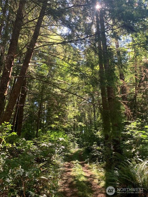 Photo of 285 Parpala Road, Naselle, WA 98638 (MLS # 2349040)