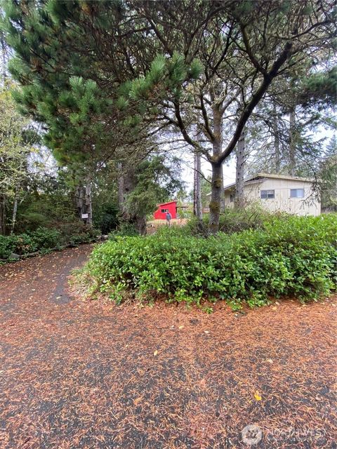 581 NE Dolphin Ocean Shores WA 98569