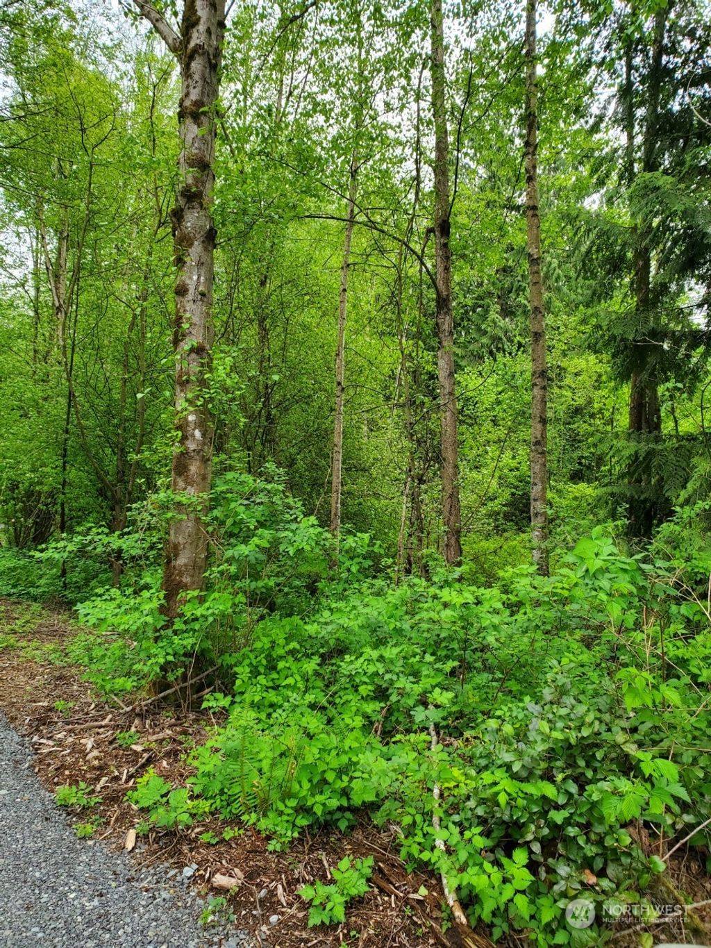 Photo of 86 XX 156th Street NE, Arlington, WA 98223 (MLS # 2140756)