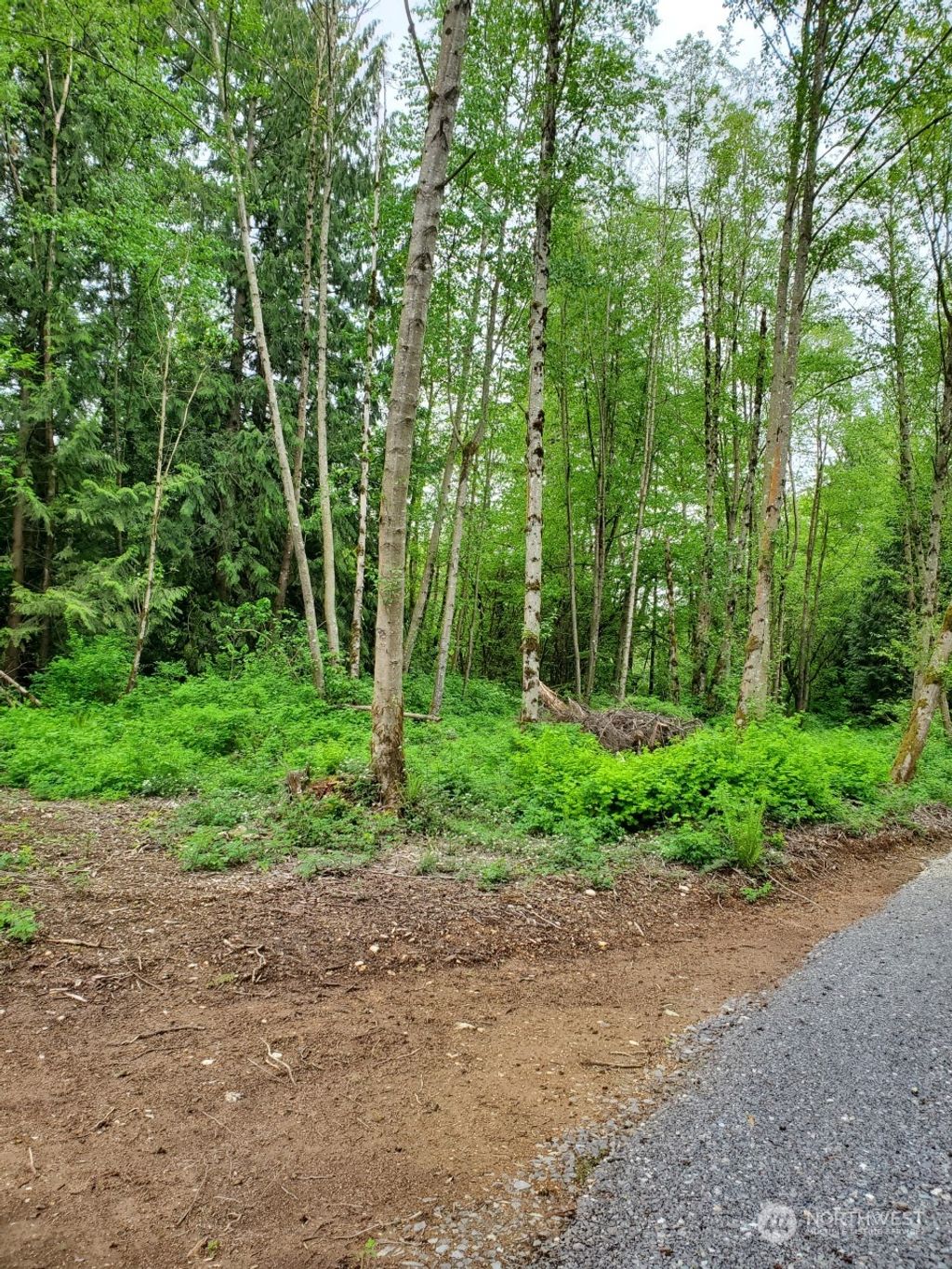 Photo of 86 XX 156th Street NE, Arlington, WA 98223 (MLS # 2140756)