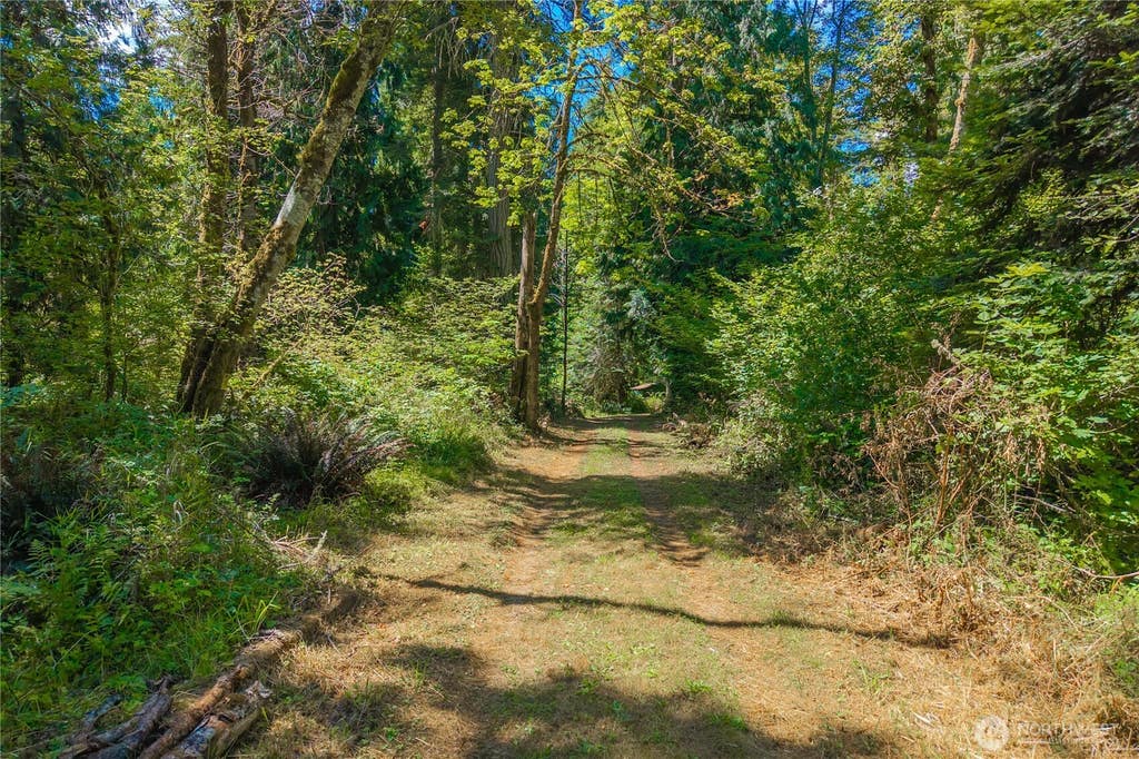 Photo of 14333 Beaver Drive SE, Rainier, WA 98576 (MLS # 2560493)