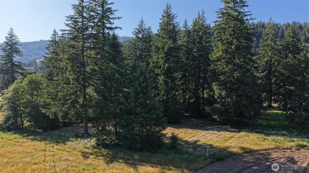 Photo of 195 Bobcat Place #Lot 3, Ariel, WA 98603 (MLS # 2563119)