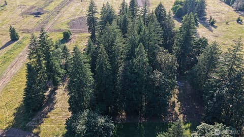 Photo of 195 Bobcat Place #Lot 3, Ariel, WA 98603 (MLS # 2563119)