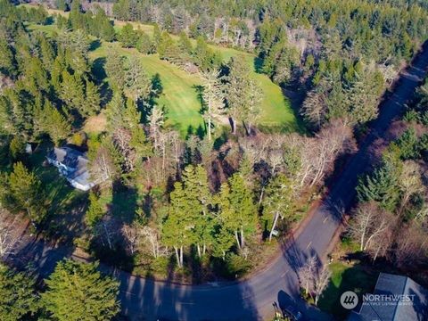 Photo of 30510 O Place, Ocean Park, WA 98640 (MLS # 2325639)
