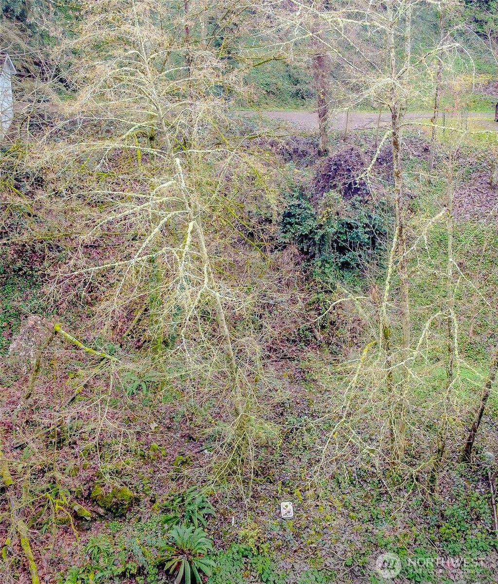 Photo of 2415 NE 178th Street, Shoreline, WA 98155 (MLS # 2463514)