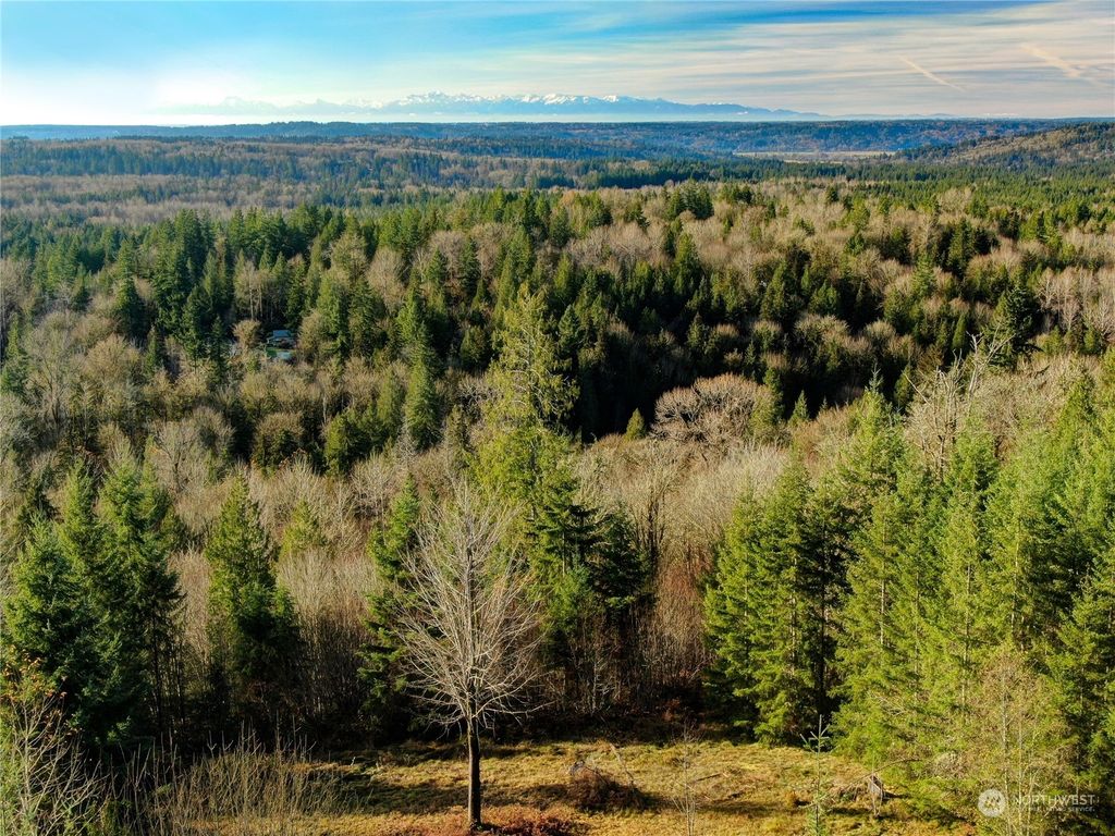 Photo of 34850 NE 147th Street, Duvall, WA 98019 (MLS # 2308812)