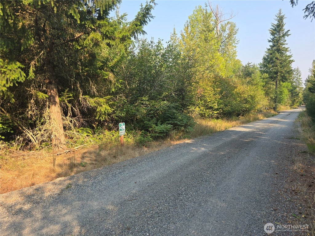 Photo of 13849 Starflower Lane SE, Yelm, WA 98597 (MLS # 2540281)