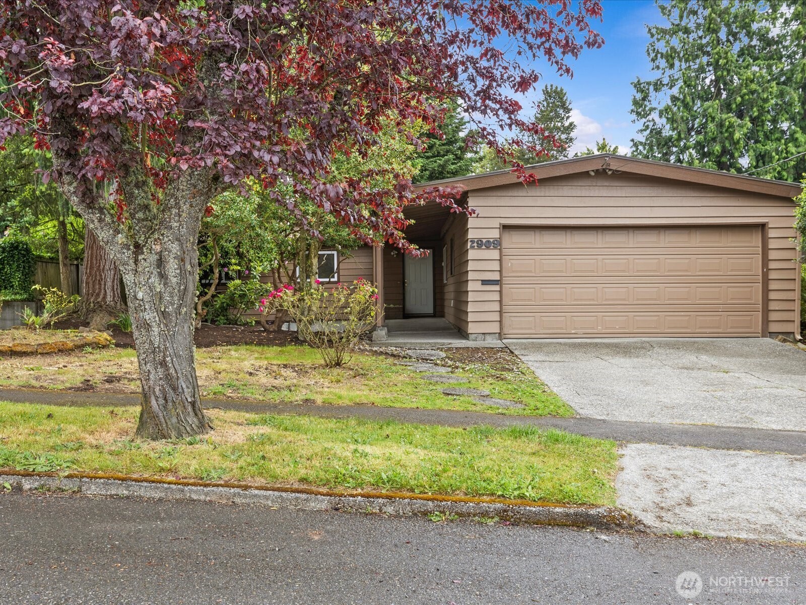 2909 SW 116th Street