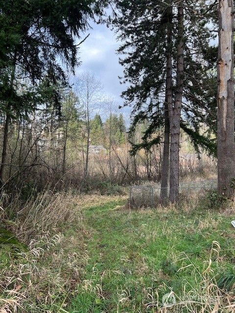 701 Iron Street Dr Eatonville WA 98328