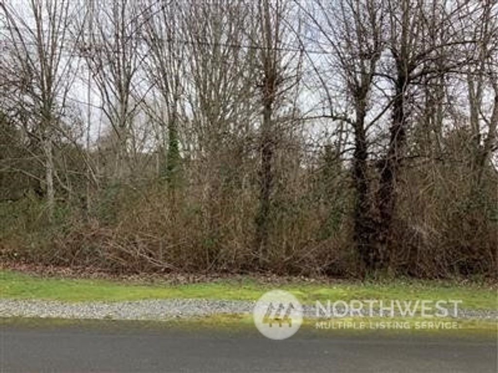 Photo of 0 17th Avenue SW, Seattle, WA 98106 (MLS # 2326175)