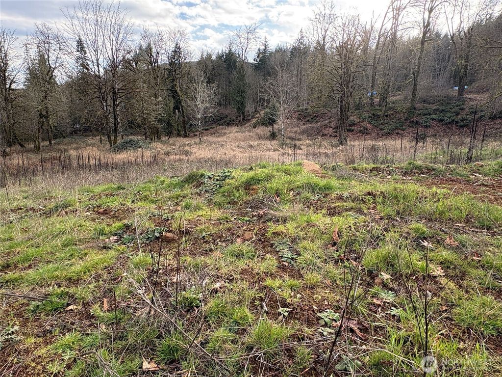 Photo of 155 Benson Lane, Castle Rock, WA 98611 (MLS # 2472165)