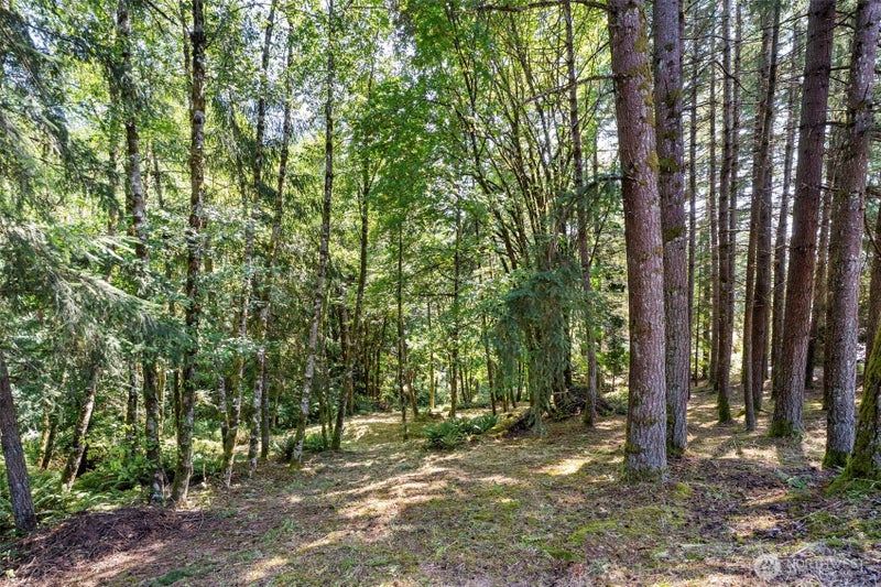 168 Upland Drive