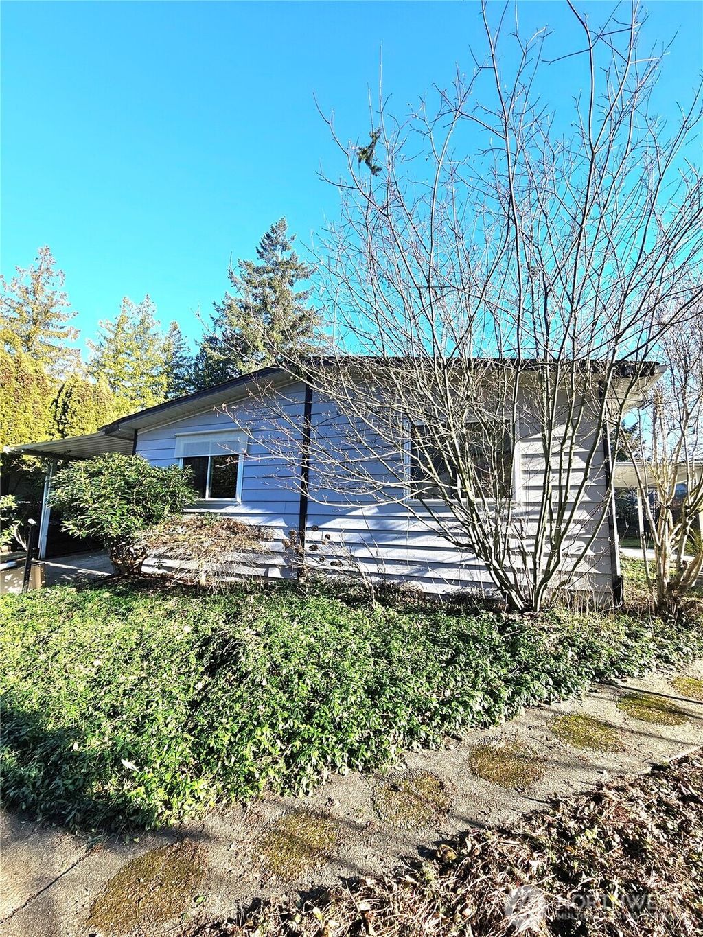 Photo of 201 Union Avenue SE #183, Renton, WA 98059 (MLS # 2469637)