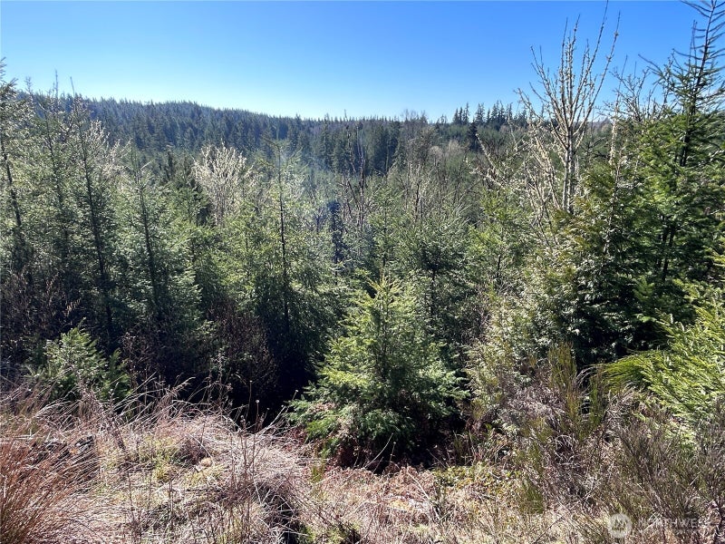 0 Salmon Creek Road