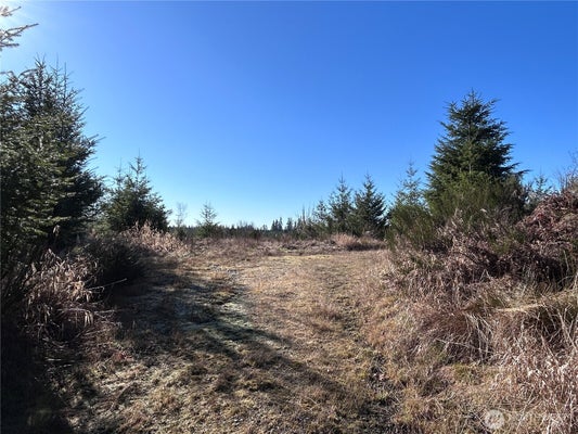 0 NKA SALMON CREEK ROAD, TOLEDO, WA 98591 - Image 69d779f2c8b41ce5b84680ffe171db24/1319695143