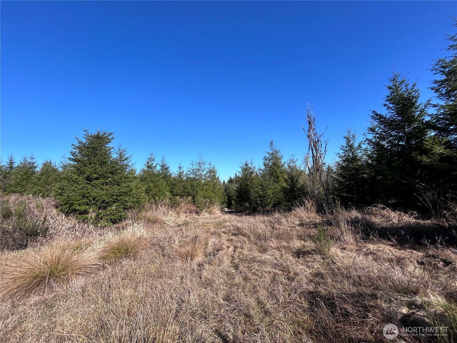 0 Salmon Creek Road
