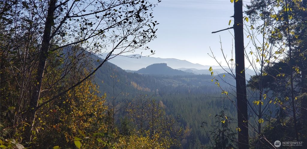 Photo of 365 XX Cumberland Ridge Road SE, Enumclaw, WA 98022 (MLS # 2438487)