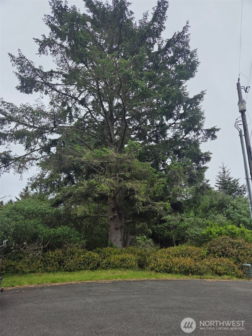 Photo of 624 Wolf Ct CT SE, Ocean Shores, WA 98569 (MLS # 2528392)