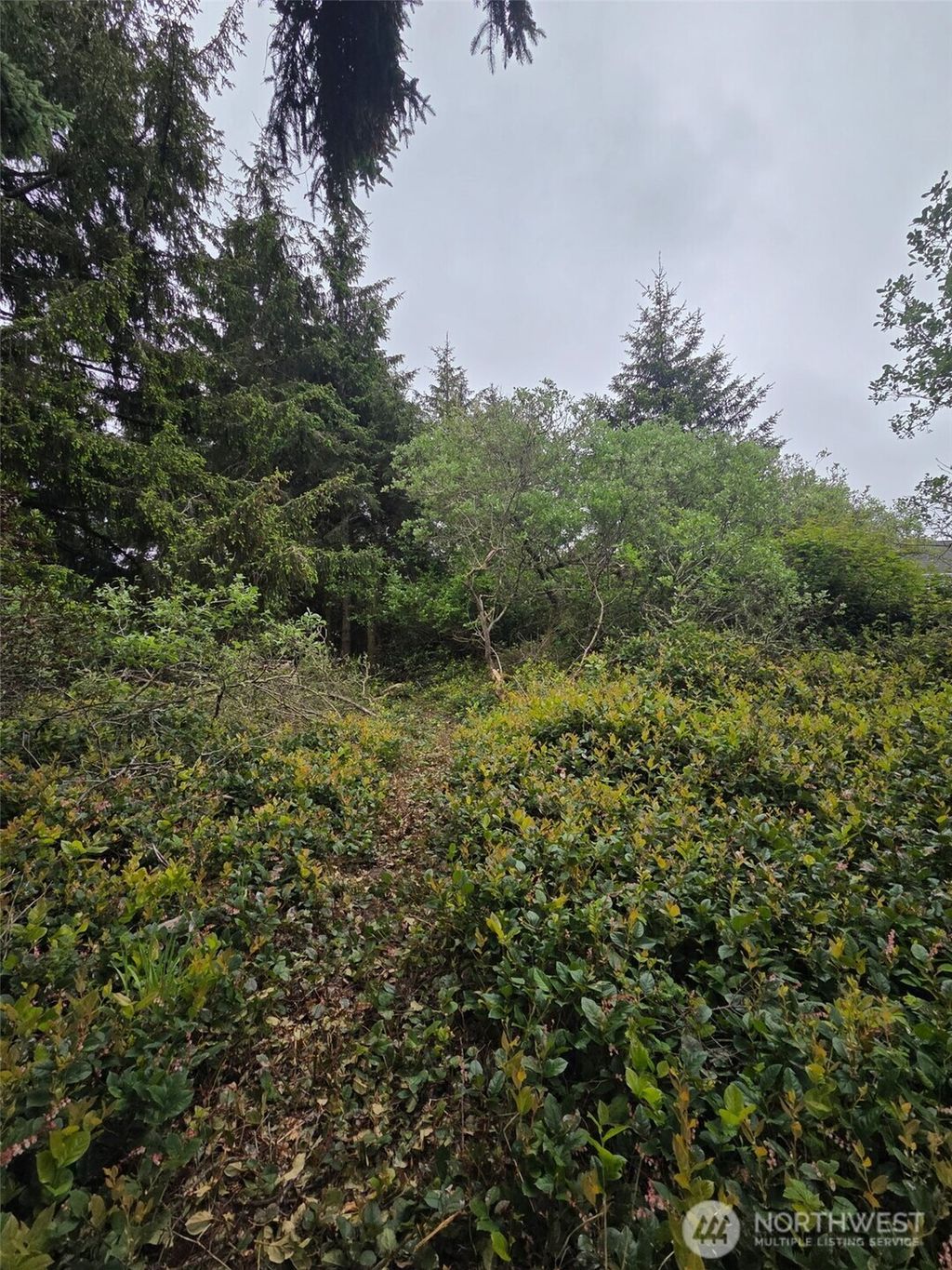 Photo of 624 Wolf Ct CT SE, Ocean Shores, WA 98569 (MLS # 2528392)